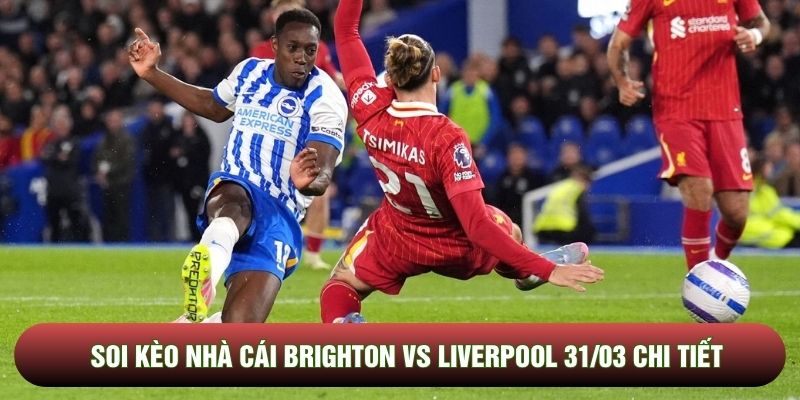 Soi kèo nhà cái Brighton vs Liverpool 31/03 chi tiết Soi kèo nhà cái Brighton vs Liverpool 31/03 chi tiết